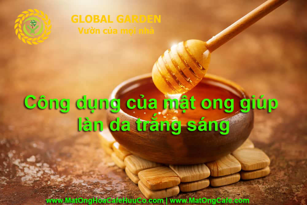 Công dụng của MẬT ONG giúp làn da trắng sáng